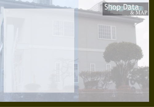 Shop Data